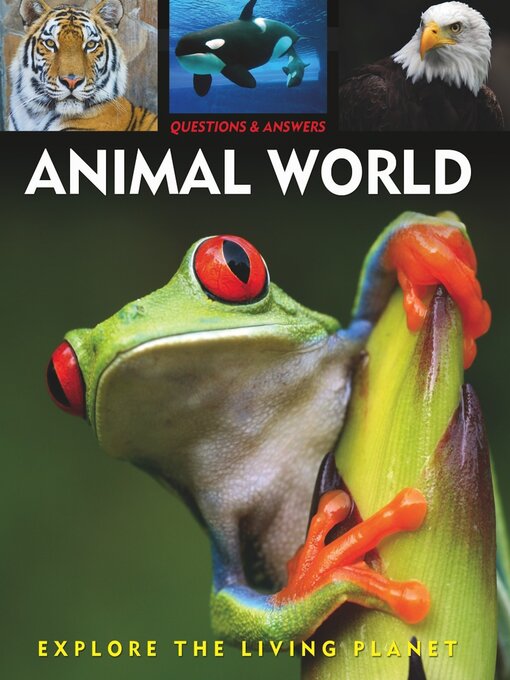 Title details for Questions and Answers About Animal World by Rebecca Gerlings - Available